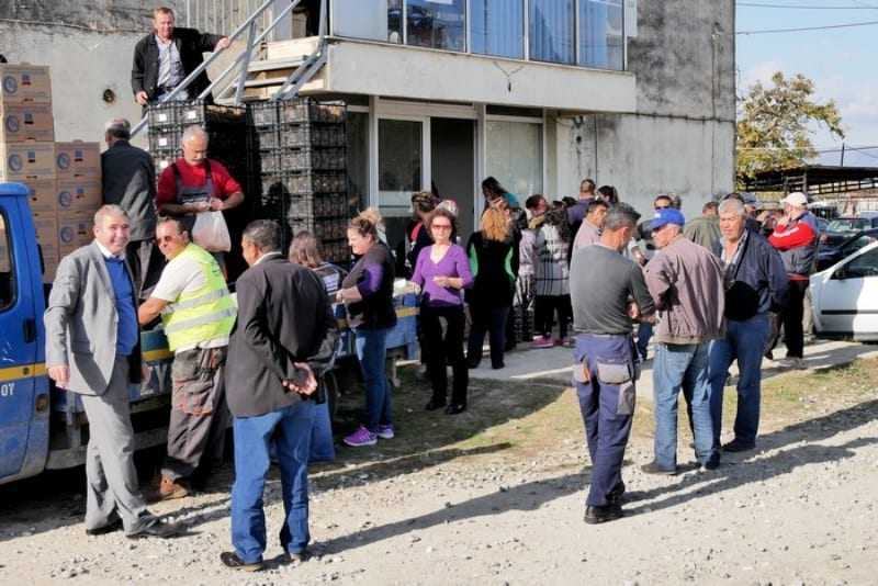 Διάθεση Πορτοκαλιών και Ακτινιδίων  στον Δήμο Τοπείρου