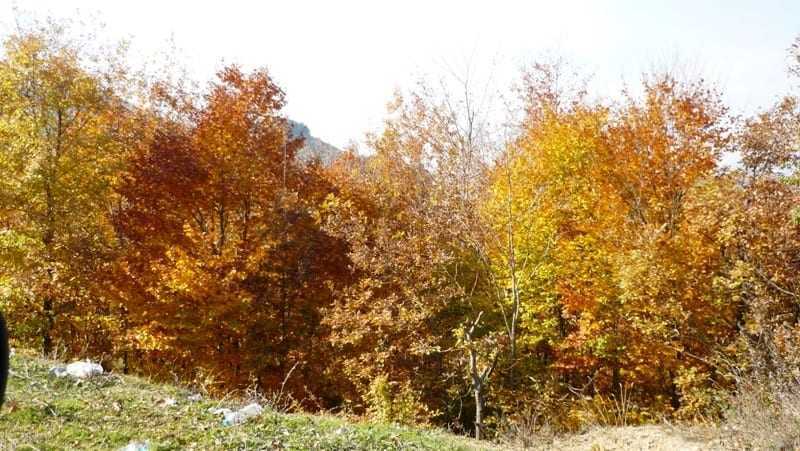 Ταξίδι στα χρώματα Φθινοπώρου από την Οροσειρά της Ροδόπης