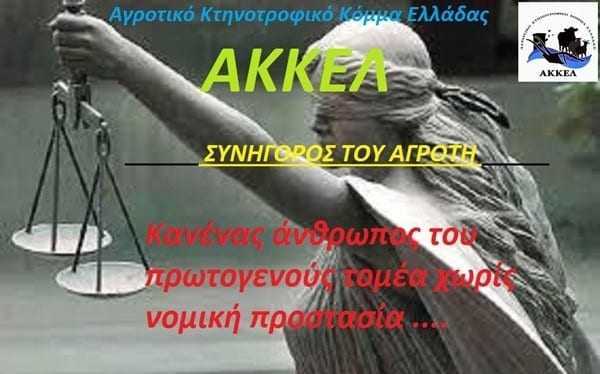 AKKEΛ: Τι κάνουμε αν μας κατασχέσουν τον λογαριασμό που μπαίνουν επιδοτήσεις