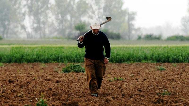 Άντε τώρα να καταλάβει ο αγρότης τι του λέει η αγροτική ανάπτυξη της Περιφέρειας.