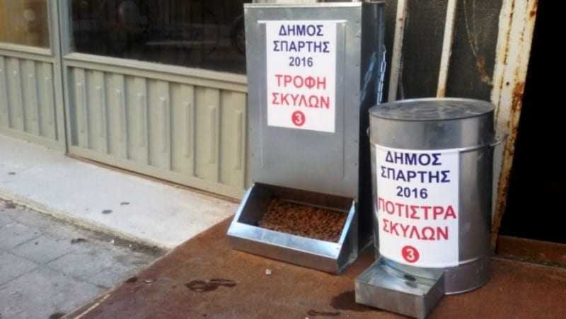 Η ΦΩΤΟΓΡΑΦΙΑ ΤΗΣ ΗΜΕΡΑΣ: Διαβάζουν τα σκυλιά της Σπάρτης;