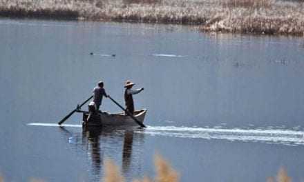 Απαγόρευση αλιείας σε περιοχές του Έβρου