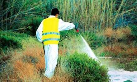 «Ξεκίνησε το έργο καταπολέμησης κουνουπιών 2016»