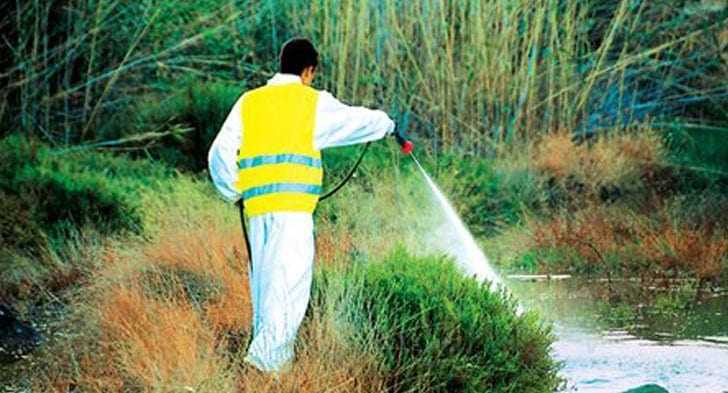 «Ξεκίνησε το έργο καταπολέμησης κουνουπιών 2016»