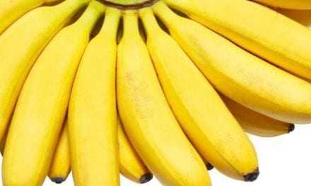 Ερευνητές τροποποίησαν γενετικά τις μπανάνες, ώστε να μην σαπίζουν γρήγορα