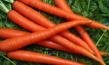 Το καρότο έχει πολύ περισσότερα γονίδια από τον άνθρωπο!