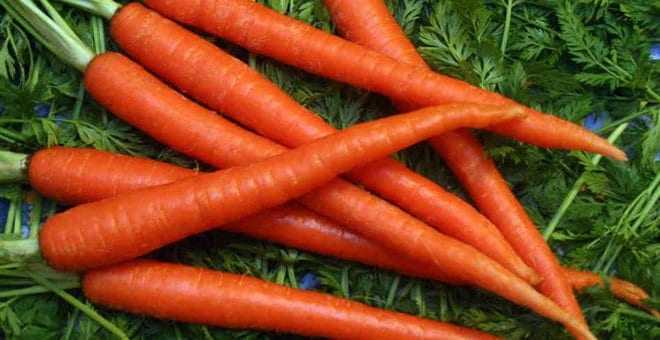 Το καρότο έχει πολύ περισσότερα γονίδια από τον άνθρωπο!