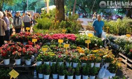 ΔΡΑΜΑ: Πετυχημένη η ανθοκομική έκθεση