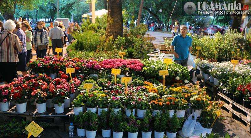 ΔΡΑΜΑ: Πετυχημένη η ανθοκομική έκθεση