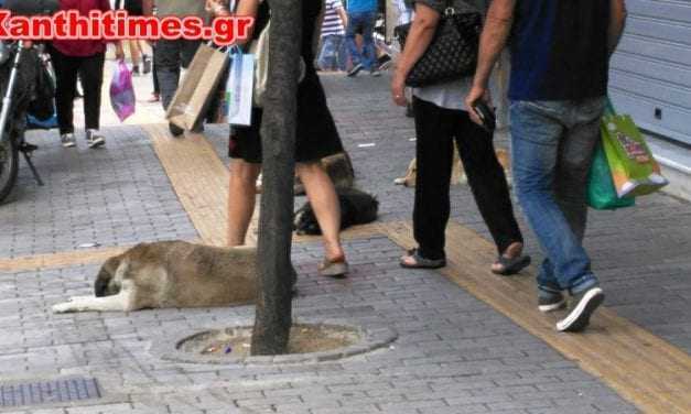 Κόλαφος για τον Δήμο Ξάνθης η καταγγελία συνδημότισσας μας