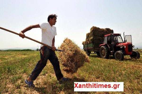 Να μεριμνήσει η Κυβέρνηση για παράταση των δηλώσεων ΟΣΔΕ ή την εκπρόθεσμη υποβολή χωρίς ποινές για τους αγρότες