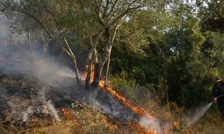 Υπό μερικό έλεγχο η μεγάλη πυρκαγιά στο Νεοχώρι Ζίτσας