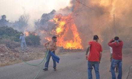 Χίος: Μεγάλες καταστροφές από την πυρκαγιά στις καλλιέργειες των μαστιχόδεντρων