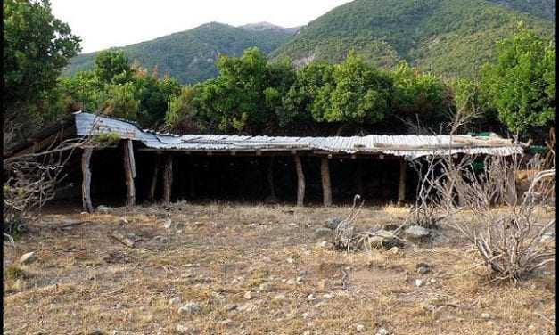 Πήγαν να κλέψουν πρόβατα από στάνη στην Σαμοθράκη αλλά…τους πήραν χαμπάρι