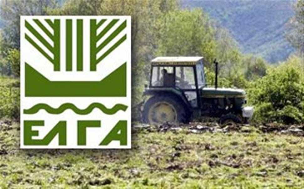 «Η κυβέρνηση οδηγεί σε αδυναμία τον ΕΛΓΑ να διενεργήσει επιτόπιες εκτιμήσεις για τις ζημιές σε αγροτικές καλλιέργειες»