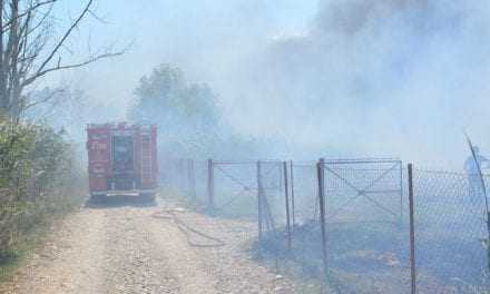 Καλαμάτα: Σε ύφεση η πυρκαγιά στον Ταΰγετο