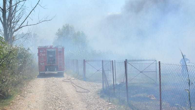 Καλαμάτα: Σε ύφεση η πυρκαγιά στον Ταΰγετο