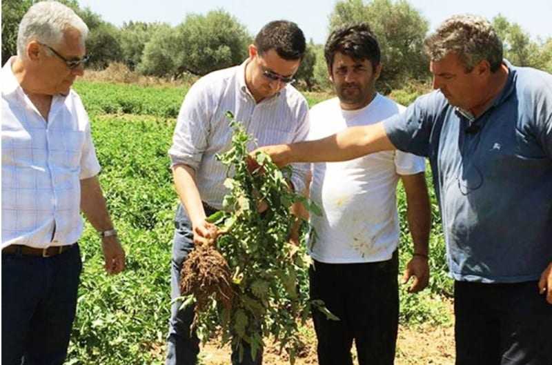 Υπάλληλοι ΕΛ.ΓΑ εναντίων αγροτών; Άλλο ένα θαύμα της Κυβέρνησης