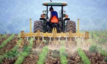 Αύξηση ασφαλιστικών εισφορών στους αγρότες δρομολογεί η κυβέρνηση