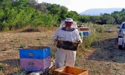 Καταγραφή κυψελών διαχείμανσης