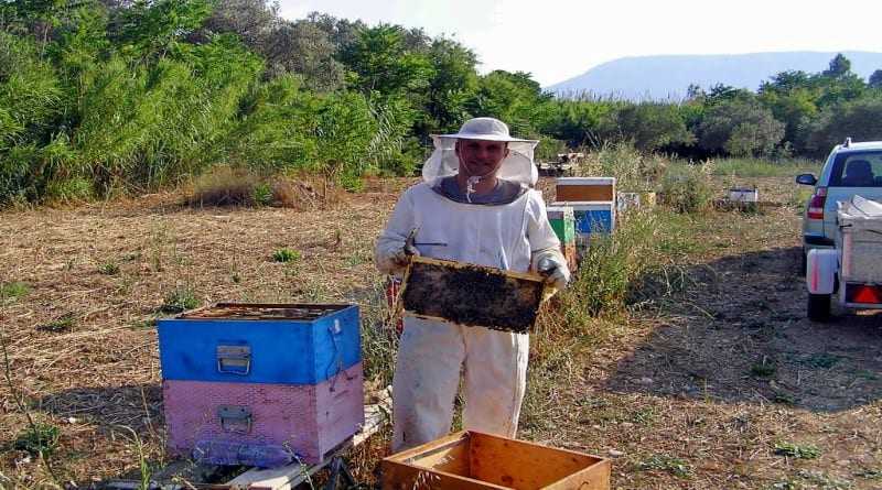 Καταγραφή κυψελών διαχείμανσης