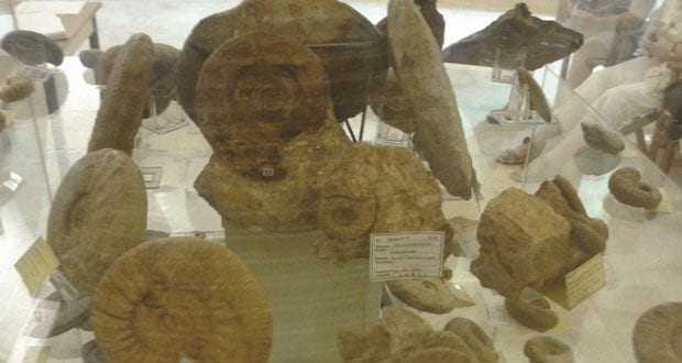 «Η μεγαλύτερη συλλογή απολιθωμάτων στην Ευρώπη έρχεται στον Δήμο Τοπείρου».