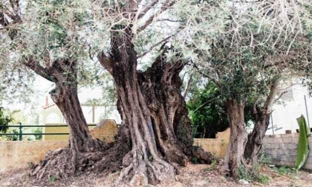 ΣΑΝ ΣΗΜΕΡΑ ΠΡΙΝ ΑΠΟ 2.500 ΧΡΟΝΙΑ