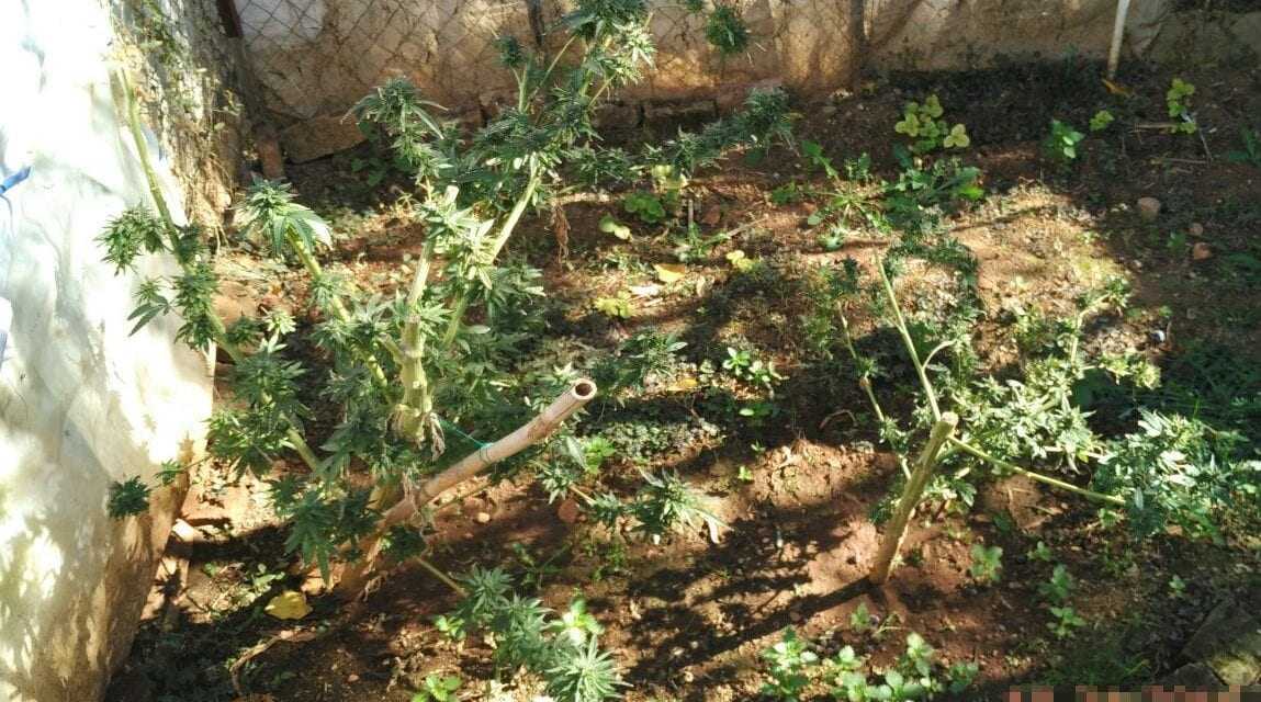 Αστυνομικά από την Περιφέρεια