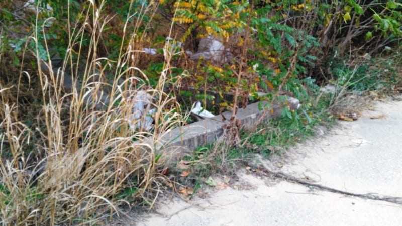 img_20161030_155825