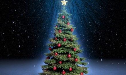 Τι συμβολίζει το Χριστουγεννιάτικο δέντρο;