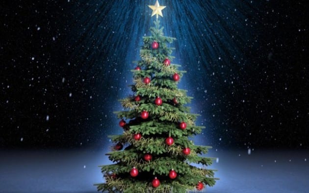 Αποτέλεσμα εικόνας για Τι συμβολίζει το Χριστουγεννιάτικο δέντρο;
