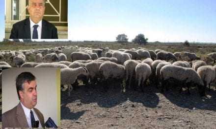«Άστεγα» τα πρόβατα στην Συδινή; Καθ οδό ο Αντιπεριφερειάρχης