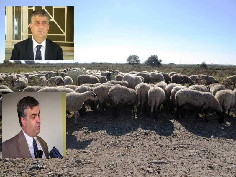 «Άστεγα» τα πρόβατα στην Συδινή; Καθ οδό ο Αντιπεριφερειάρχης