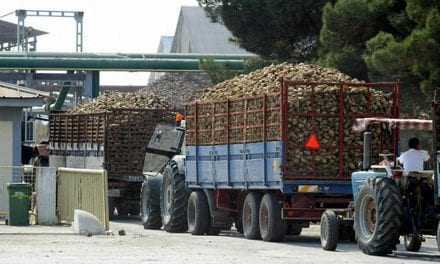 Στην τελική ευθεία   το έγκλημα των ζαχαρουργείων της Ελλάδος