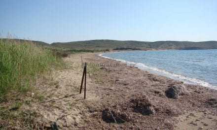 Εξουδετέρωση παλιού όπλου στον Αι Γιάννη της Ξάνθης