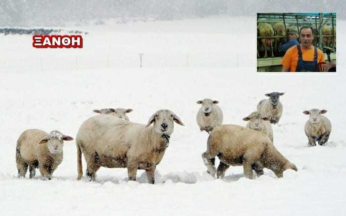 Πάγωσαν οι κινητοποιήσεις των αγροτοκτηνοτρόφων μαζί  τις παγωνιές