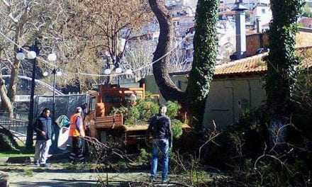 “Κλαδεύεται” ο Δήμος Ξάνθης