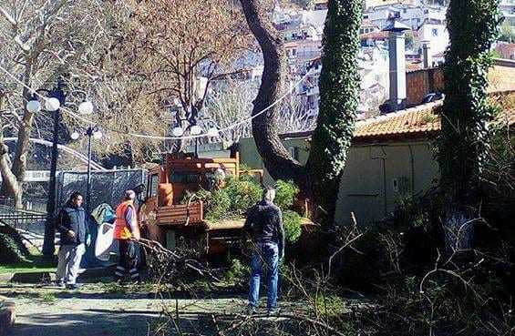 “Κλαδεύεται” ο Δήμος Ξάνθης