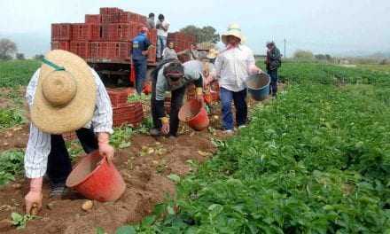 ΔΗΣΥ: Στερούν το δικαίωμα από τους αγρότες να ζήσουν στην περιφέρεια