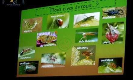 «Ο μικρόκοσμος του Εθνικού Πάρκου Ανατολικής Μακεδονίας και Θράκης: Τα έντομα»