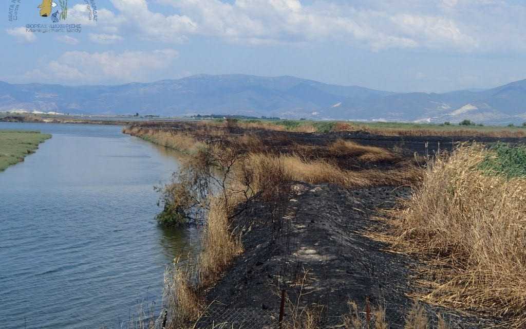 Συνάντηση εργασίας για την αντιμετώπιση των πυρκαγιών στο Δέλτα Νέστου