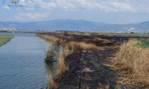 Συνάντηση εργασίας για την αντιμετώπιση των πυρκαγιών στο Δέλτα Νέστου