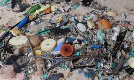 «Παρθένο» νησάκι στον Ειρηνικό έχει τα περισσότερα πλαστικά σκουπίδια