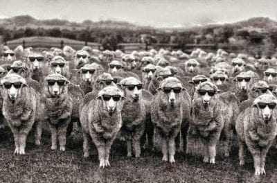Οι πολίτες δεν πρέπει να είναι πρόβατα που ανήκουν σε μια κομματική στάνη