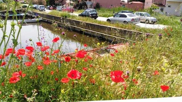 Πότε θα καθαριστεί το μικρό λιμανάκι του Πόρτο Λάγος;