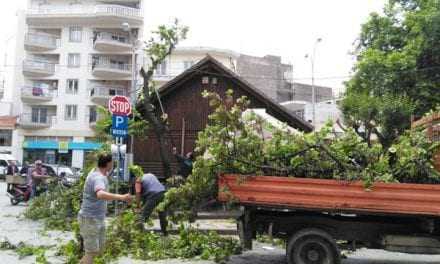 Συγχαρητήρια στους εργαζομένους του τμήματος πρασίνου του Δήμου Ξάνθης