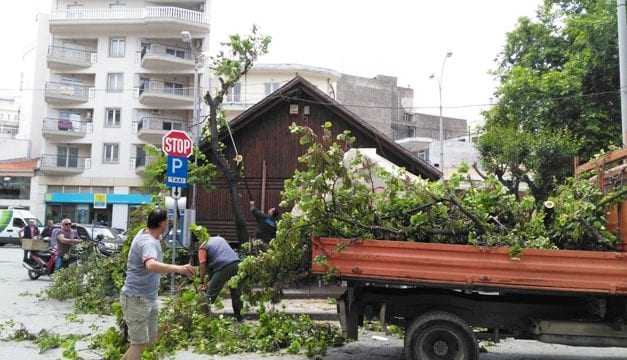 Συγχαρητήρια στους εργαζομένους του τμήματος πρασίνου του Δήμου Ξάνθης