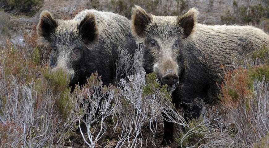 Η ΝΟΔΕ Ξάνθης κατηγορεί τους βουλευτές του ΣΥΡΙΖΑ για απραξία