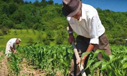 Οικονομικό Επιμελητήριο Θράκης/ Τα μέτρα πλήττουν βάναυσα τους αγρότες χαμηλοσυνταξιούχους