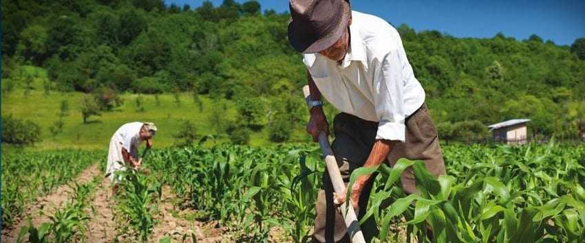 Οικονομικό Επιμελητήριο Θράκης/ Τα μέτρα πλήττουν βάναυσα τους αγρότες χαμηλοσυνταξιούχους